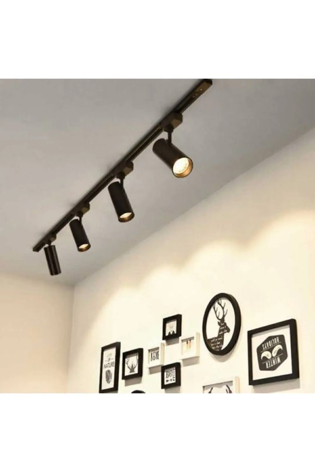 Rayspot 30w Siyah Kasa Günışığı 4 Adet Spot 1adet 1mt Ray